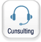 Cunsulting